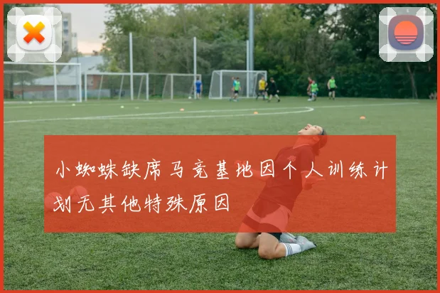 小蜘蛛缺席马竞基地因个人训练计划无其他特殊原因